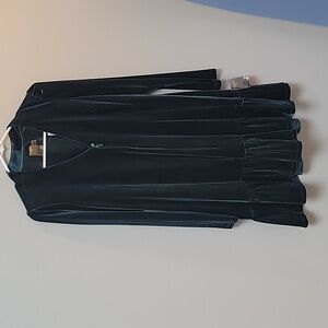 NWT Taylor velour mini dress